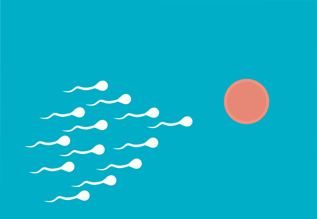 Sperm health