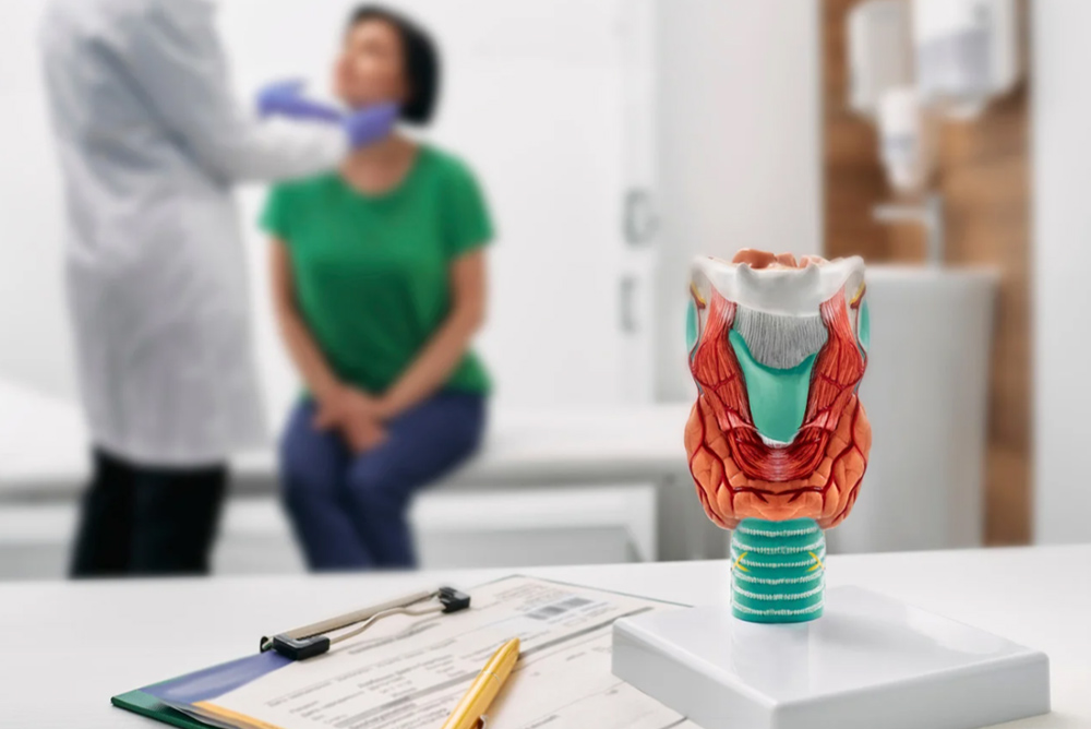 thyroid hormones