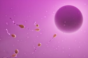 Sperm Health